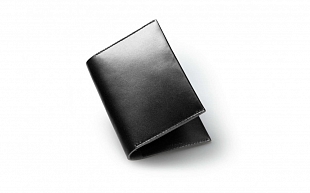 1Картинка JB3 Passport Holder